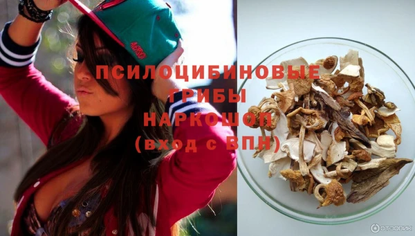 Альфа ПВП Покачи