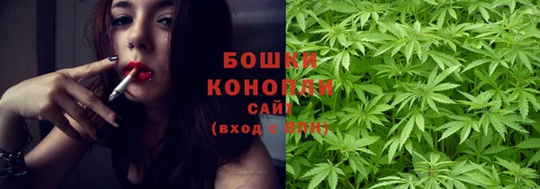 стаф Болхов