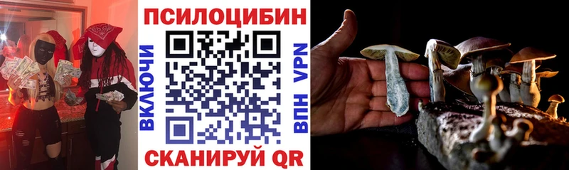 Псилоцибиновые грибы мицелий  купить наркоту  Великий Новгород 