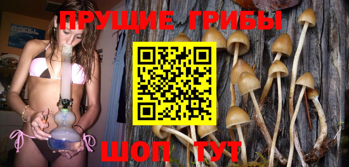 Псилоцибиновые грибы мухоморы  Вход с VPN  Галлюциногенные грибы GOLDEN TEACHER  Великий Новгород 