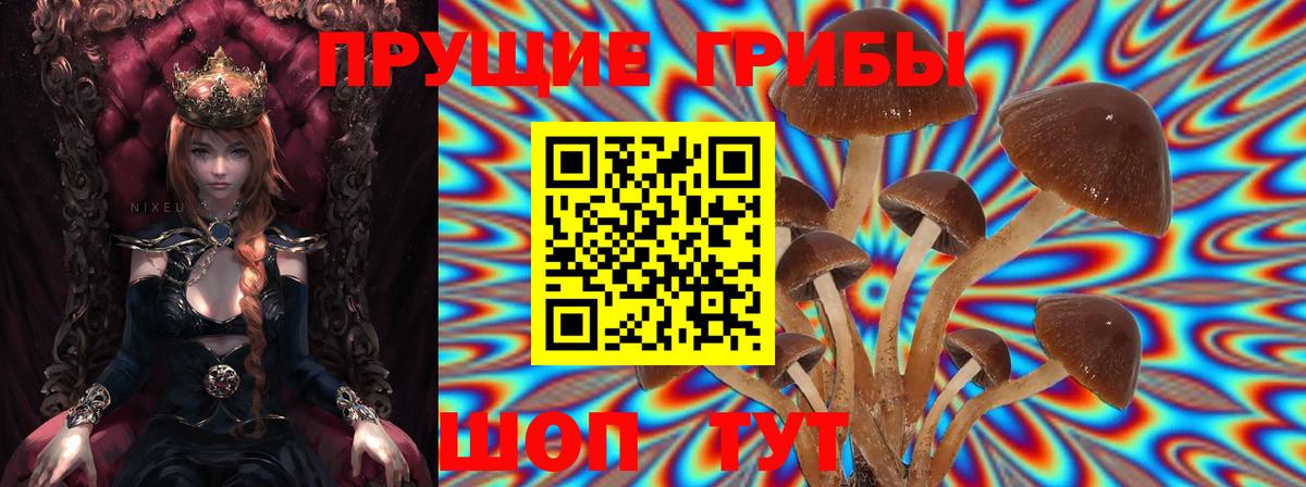 Псилоцибиновые грибы прущие грибы Великий Новгород